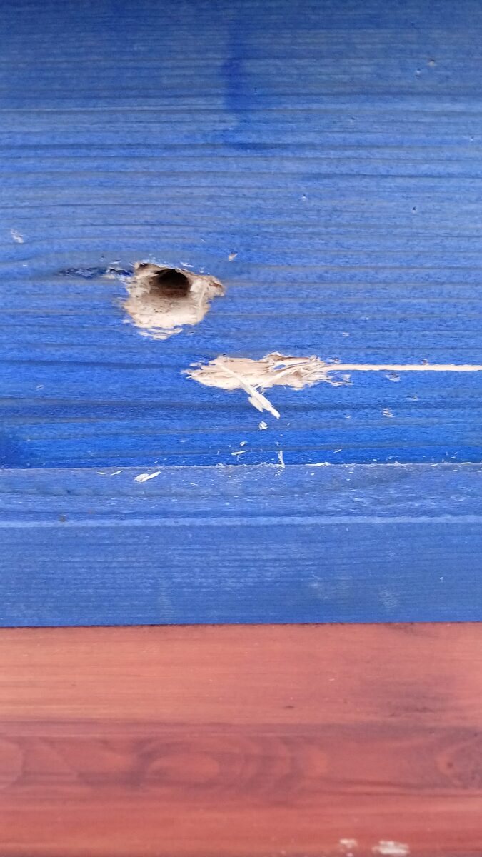 Close-up of the smaller hole in the wood