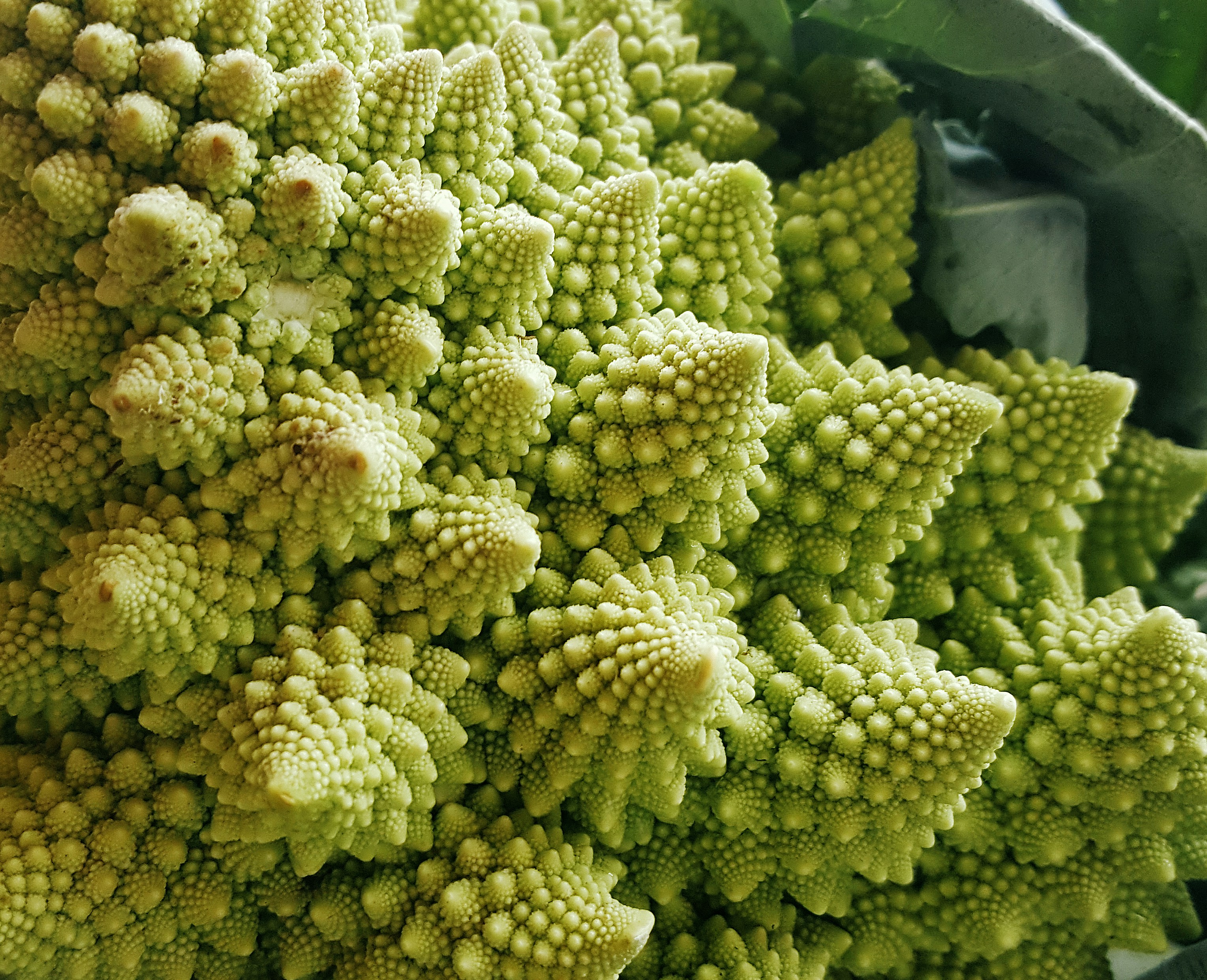 Chaos Theory